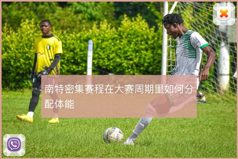 南特密集赛程在大赛周期里如何分配体能