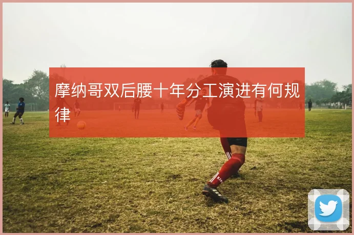 摩纳哥双后腰十年分工演进有何规律